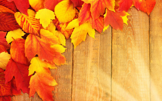 1428277 (a): :2880x1800